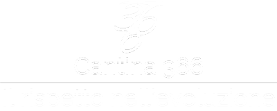 Cantina 366